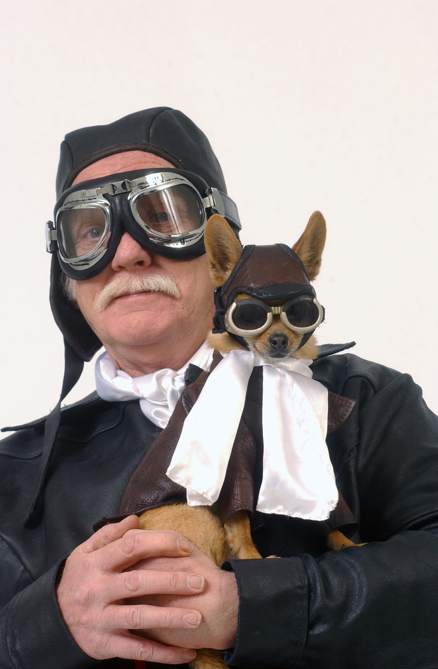 chihuahua motorcycle goggles